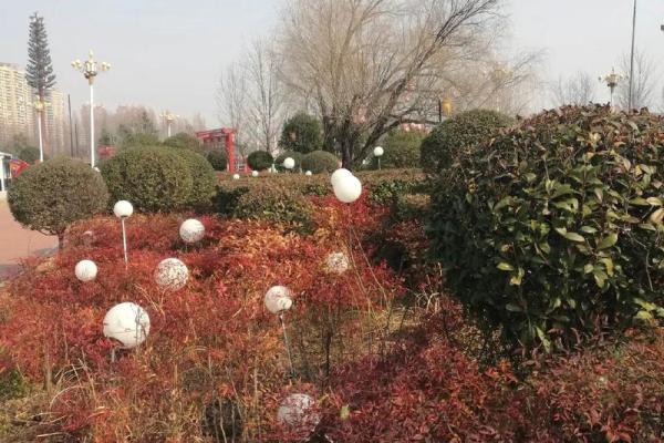 1976年4月29号阴历 1976年4月29阴历是多少