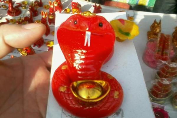 笔走龙蛇打一生肖动物是什么答案及解析，不看后悔