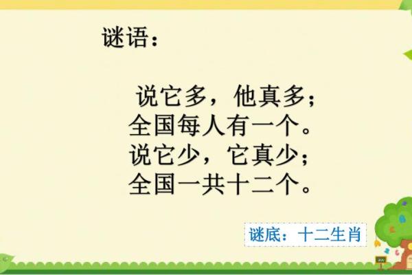 明日黄花”代表哪个生肖？生肖谜语大全，终极指南