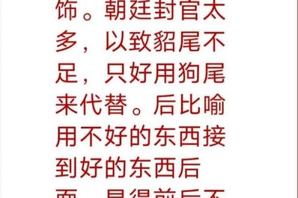 狗尾续貂”打一生肖答案及详细解析，详细教程