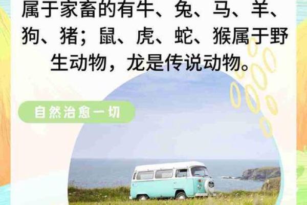 八拜之交”对应的生肖动物是什么，实战技巧