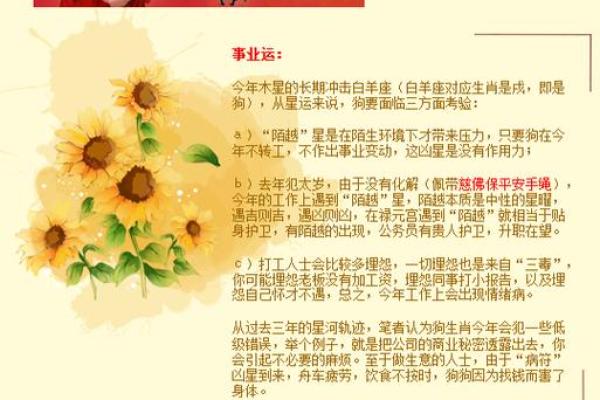 1970年属狗的婚配属相最好 1970属狗的婚配生肖