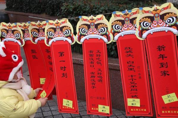 故态复萌打一动物谜底是什么，高手技巧