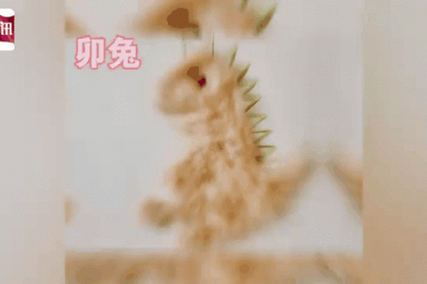 见贤思齐”对应的生肖动物解析，高手技巧