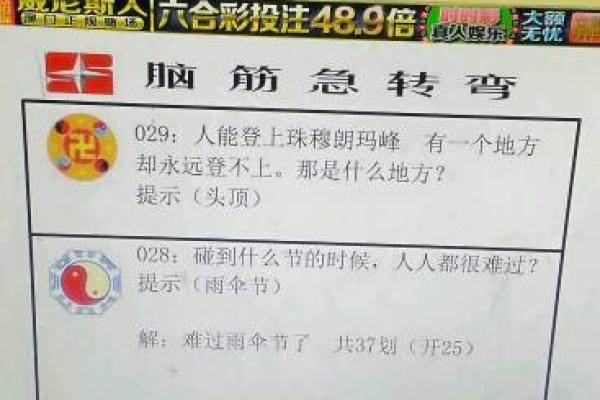 喜上眉梢打一个生肖是什么答案，实战技巧