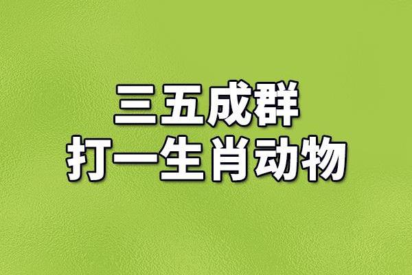 五里云雾打一生肖动物谜底及详细解析，3分钟速成
