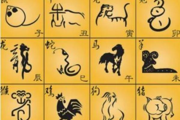 五里云雾打一生肖动物谜底及详细解析，3分钟速成