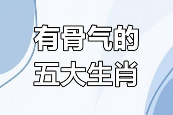 红不棱登打一生肖谜底解析及正确答案，实战技巧