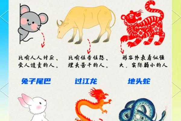 有两下子”在十二生肖中指的是哪个动物，零氪玩家必备