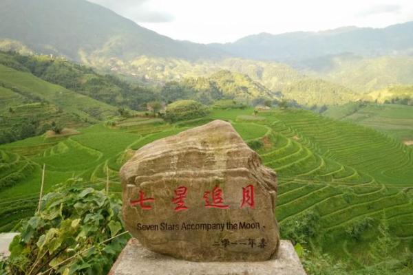 七星伴月对应的生肖是哪一个，必看攻略