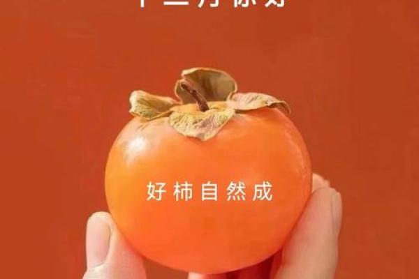 12月1日是什么日子(12月1日是什么日子吗农历)