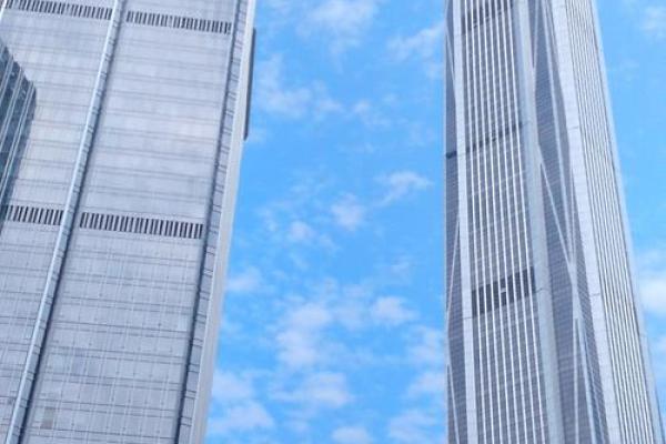 高楼大厦代表什么生肖动物，新手必学