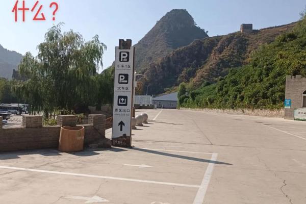 旁征博引打一生肖是什么动物答案及解析，一篇就够了