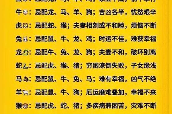 点石成金有财收对应的生肖是什么，实战技巧
