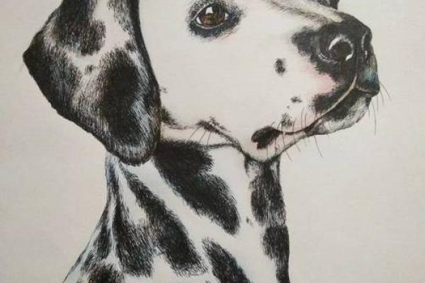 前仰后合”打一生肖动物是什么答案及解析，终极指南