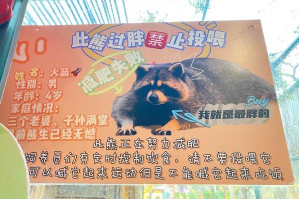 方寸不乱打一准确动物谜底是什么，独家秘籍