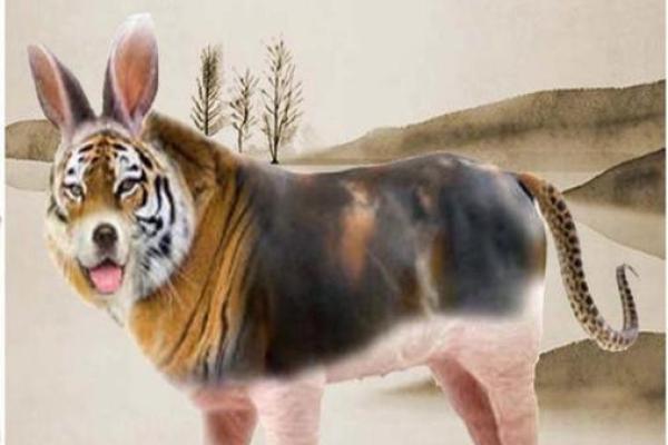 显而易见”打一个生肖动物是什么意思，不看后悔