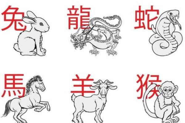 丹青妙手在十二生肖中代表什么动物，3分钟速成