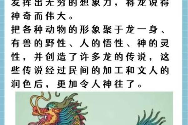 大江东去对应的生肖动物解析，最新方法分享