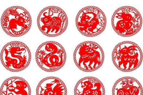 冠冕堂皇的生肖寓意是什么，实战技巧