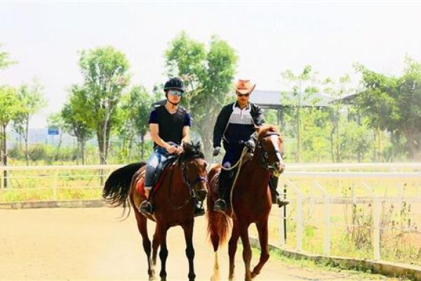 极目远眺打一生肖是什么动物正确答案，新手必学