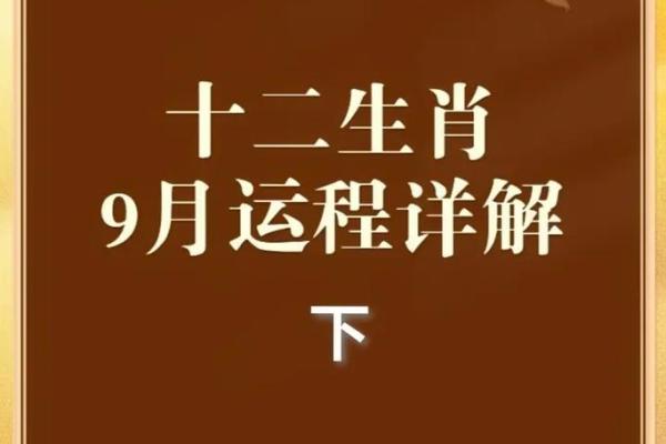 九紫离火运最旺的三个生肖2024年如何把握机遇提升运势，3分钟速成