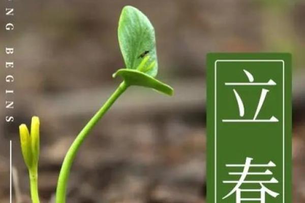 2月4号立春是什么时间 2月4号立春时间几点几分