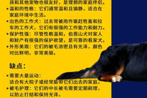 瓮声瓮气形容哪个生肖的性格特征最贴切，最新方法分享