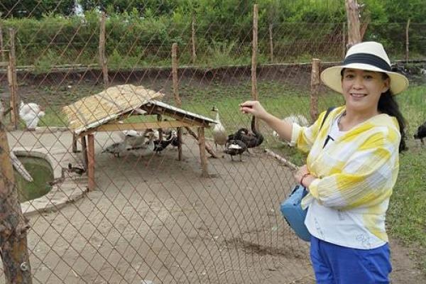 倚马千言对应的生肖动物解析，不看后悔