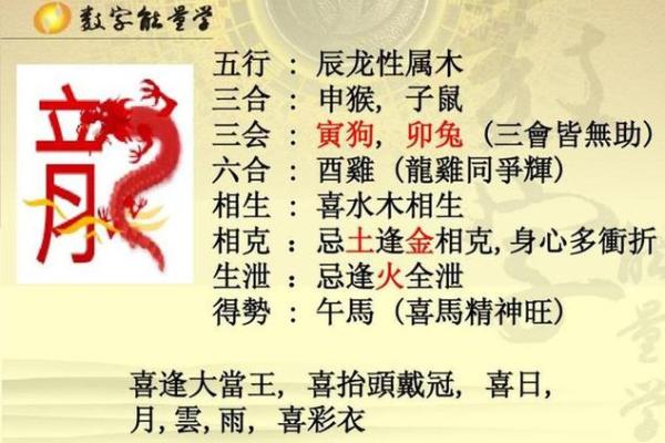 2023.6.16五行属什么生肖穿衣旺运指南，不看后悔