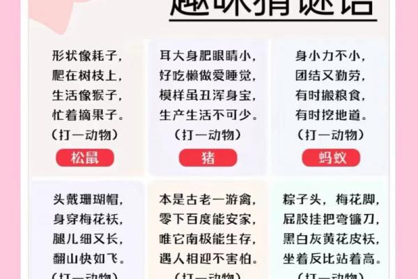 视而不见打一生肖谜底是什么，新手必学