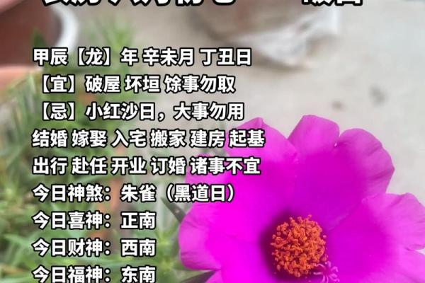 1979年5月7日农历是多少 1979年7月6日农历是多少