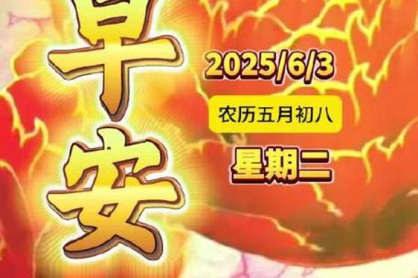 6月3日是什么特殊的日子(六月三日什么节日)