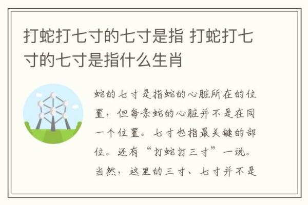 宽备窄用指的是什么生肖及其寓意解析，终极指南