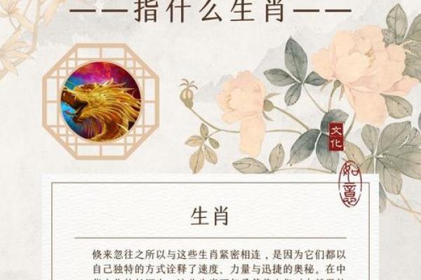 赤胆忠心代表什么生肖有什么寓意，实战技巧