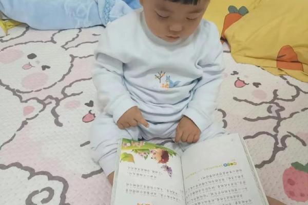 天字出头一字高对应的生肖是什么，小白也能学会