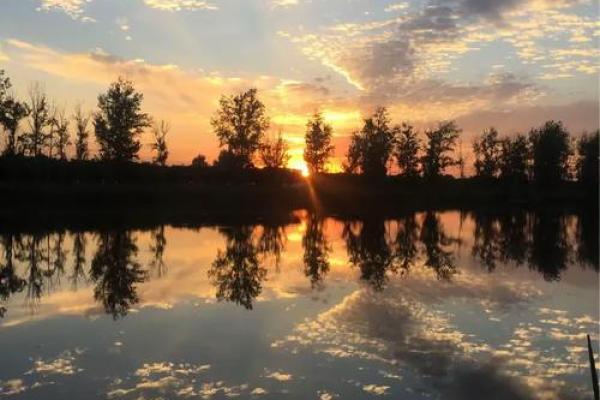 美景佳人夕阳红”打一生肖的谜底及详细解析，一篇就够了