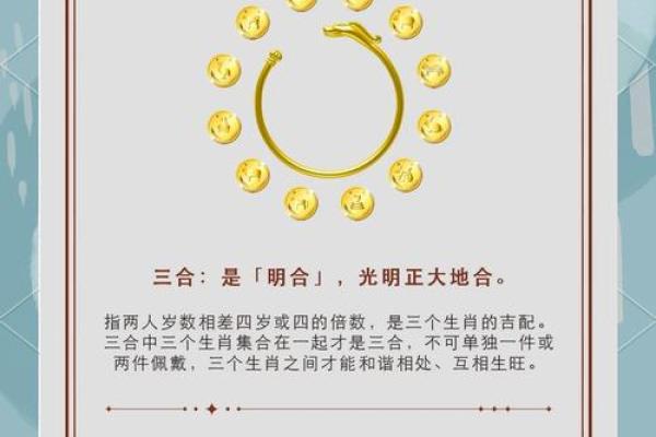 有功之臣代表什么生肖 传统文化解析，终极指南