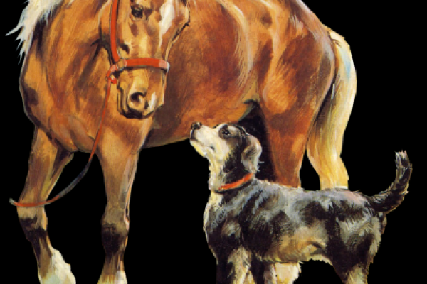 街坊邻居”对应的生肖动物解析，全解析