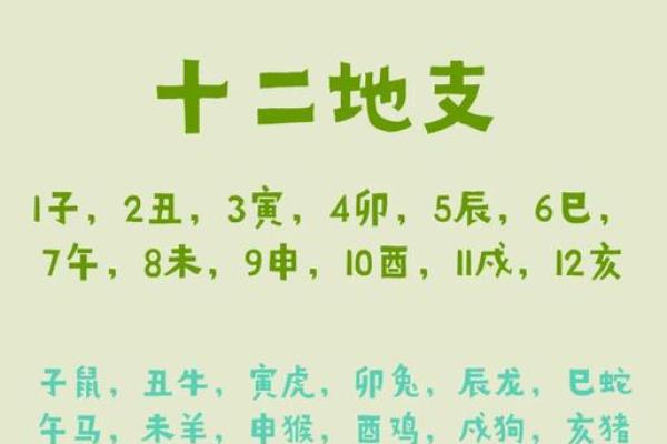 出生时辰对照表与生肖五行关系详解,独家秘籍 出生时辰对照表与生肖五行关系详解,独家秘籍