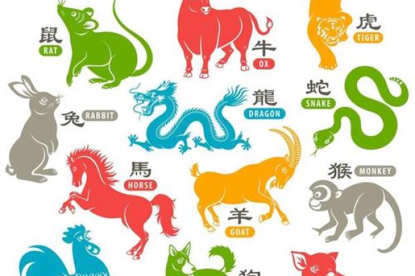 白首无成”对应的生肖动物是什么,一篇就够了 白首无成”对应的生肖动物是什么,一篇就够了