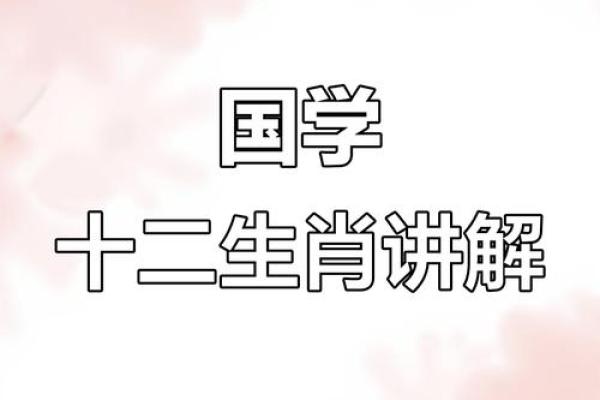 挖空心思打一生肖谜底解析及生肖文化寓意，实战技巧