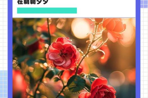 7月7日是什么情人节