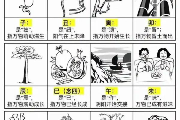 六根清净”对应的生肖是什么，全解析