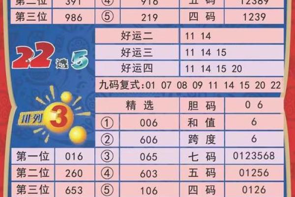 2533猜生肖正确答案及解析，独家秘籍