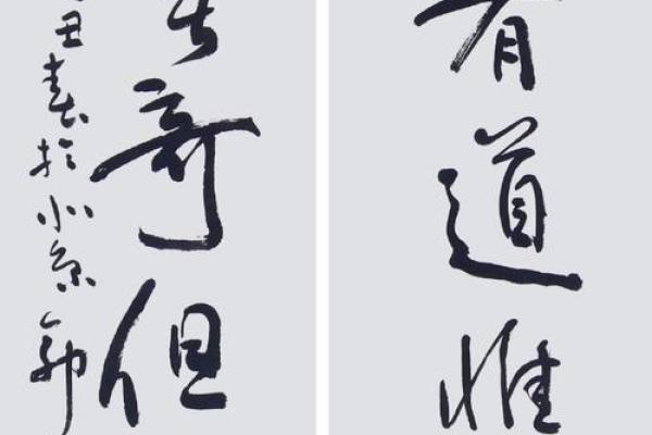 笔走龙蛇形容书法流畅对应哪个生肖，终极指南