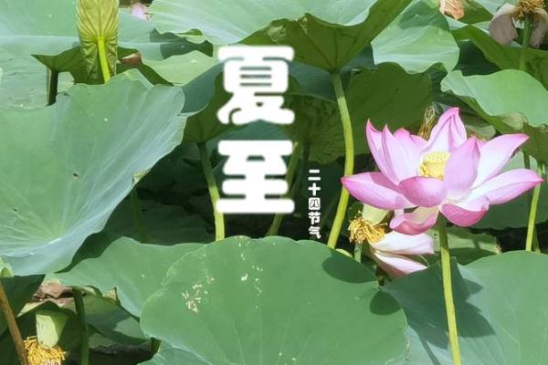 6月21日是什么节(6月21日是什么节气)