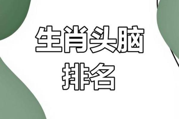 大海捞针”在十二生肖中对应哪个动物，实战技巧