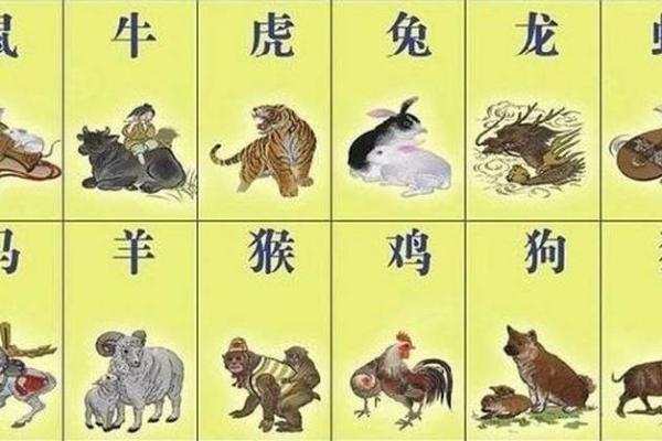 荣辱与共”在十二生肖中代表哪个动物，独家秘籍
