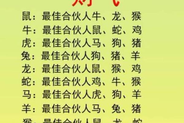 荣辱与共”在十二生肖中代表哪个动物，独家秘籍